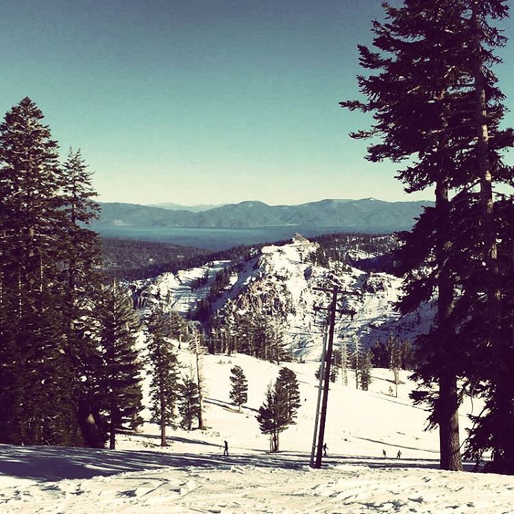 Instagram version of brannan